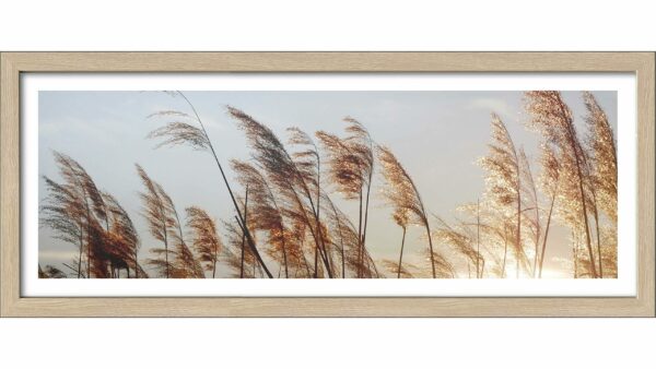 PRO®ART Kunstdruck In the Breeze III