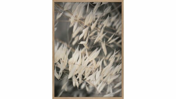 Kunstdruck Mellow Grasses 3