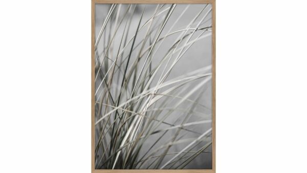 Kunstdruck Mellow Grasses 3