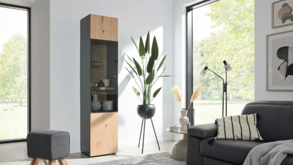 Interliving Wohnzimmer Serie 2108 – Hängevitrine 780901